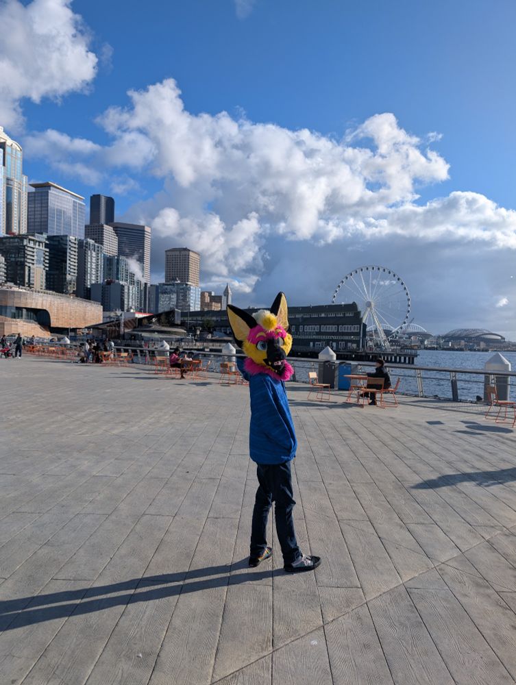 Raspberry the bat posing on the pier near the Seattle aquarium