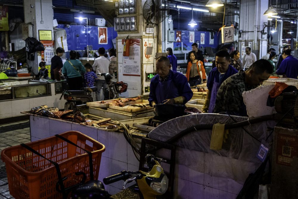 A live animal market