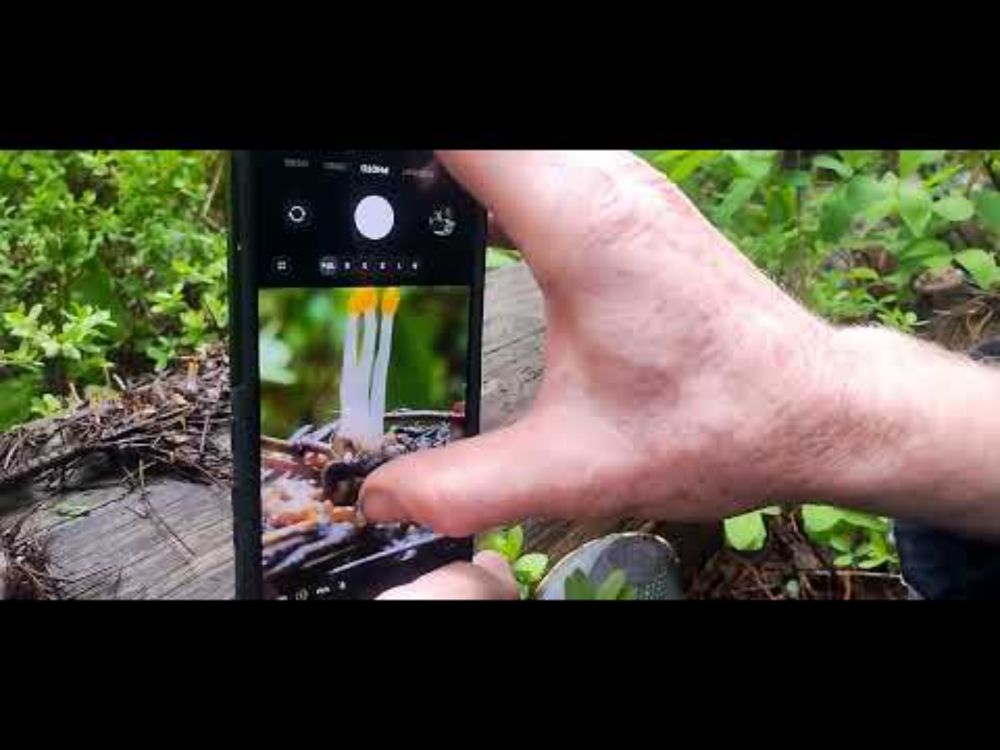 Cell Phone Photography