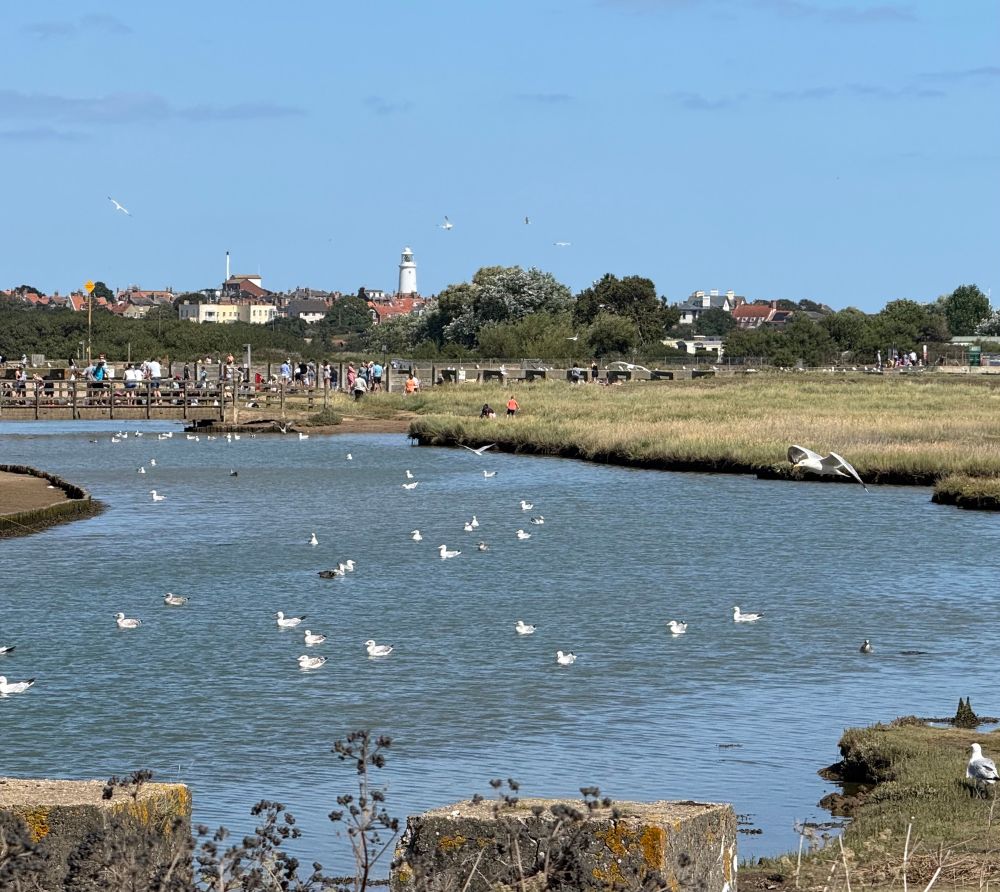 Walberswick - estuary 