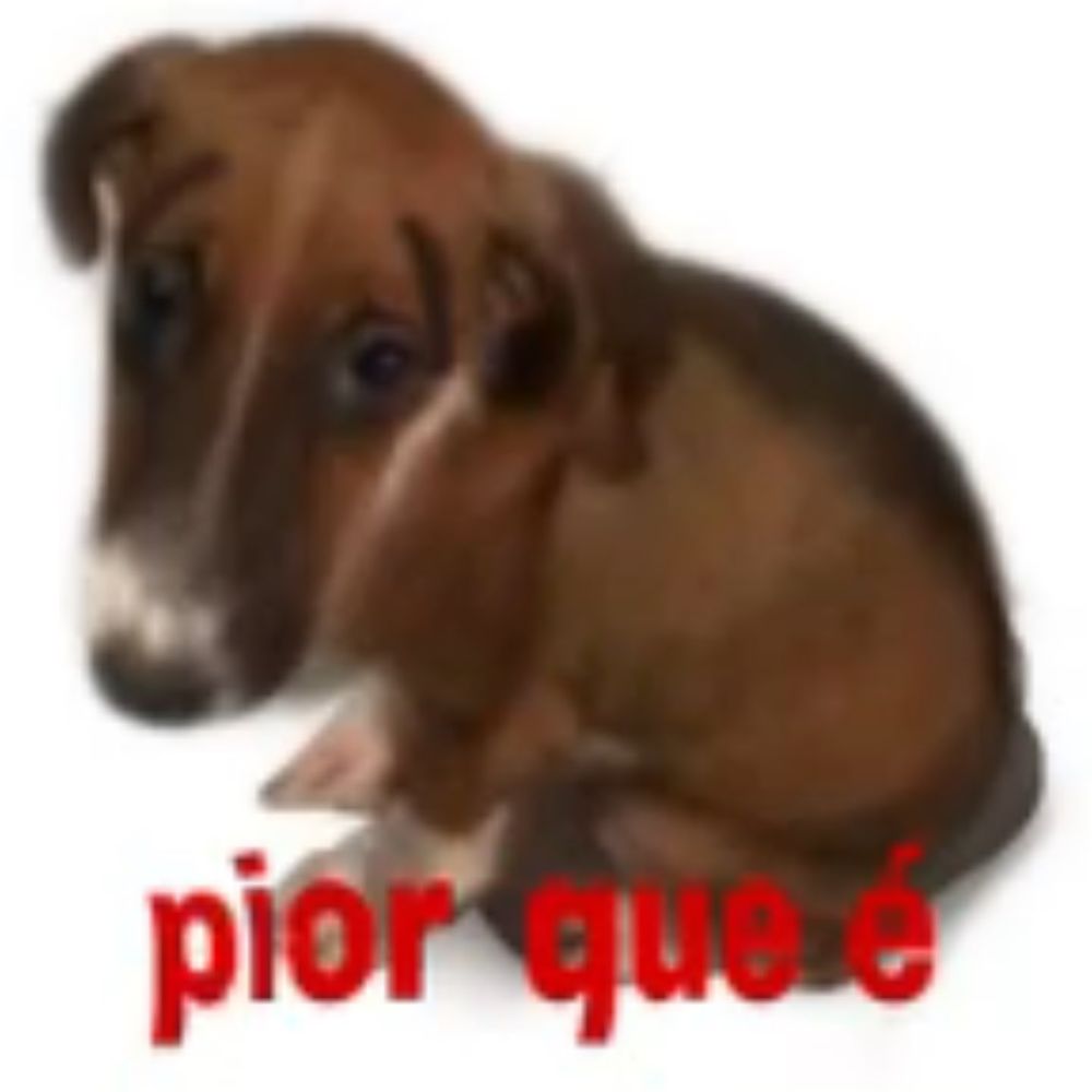 Comment image