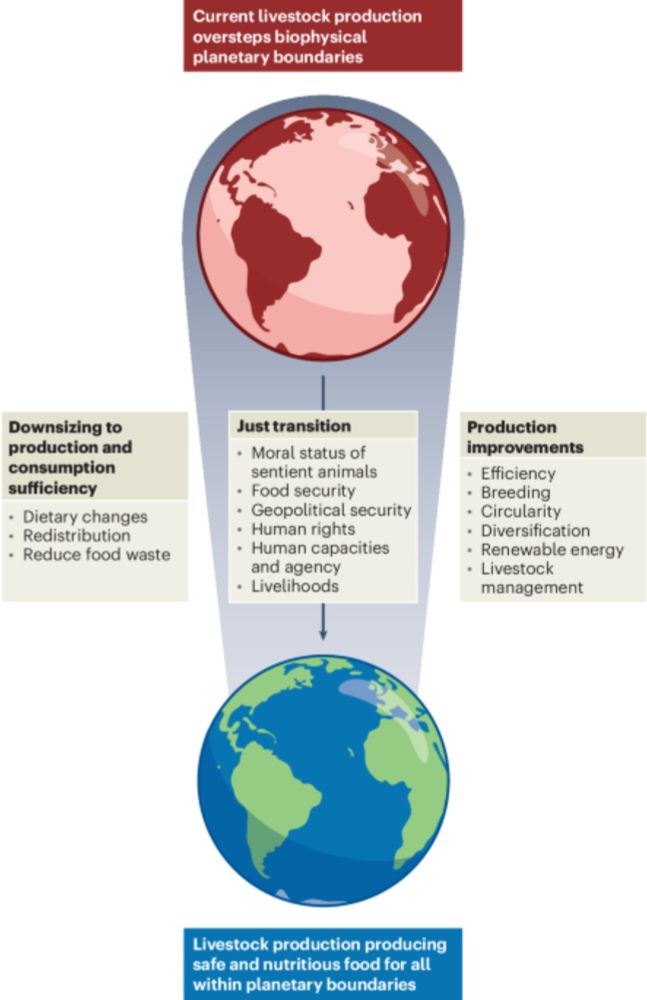 Both downsizing and improvements to livestock systems are needed to stay within planetary boundaries - Nature Food