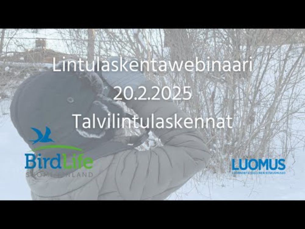 Lintulaskentawebinaari 20.2.2025