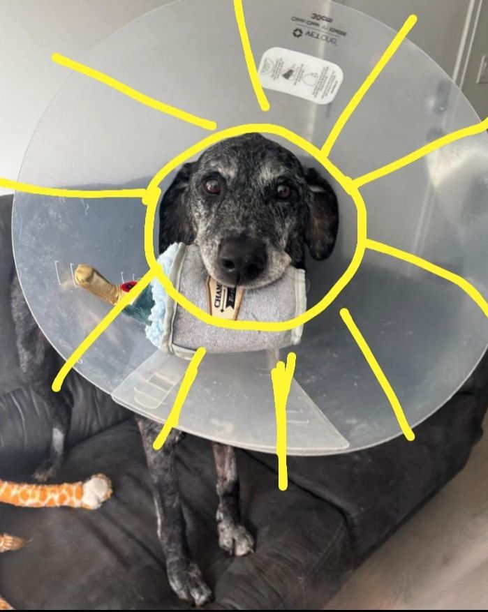 Forbin is a sun, with sun rays drawn around the cone in his head