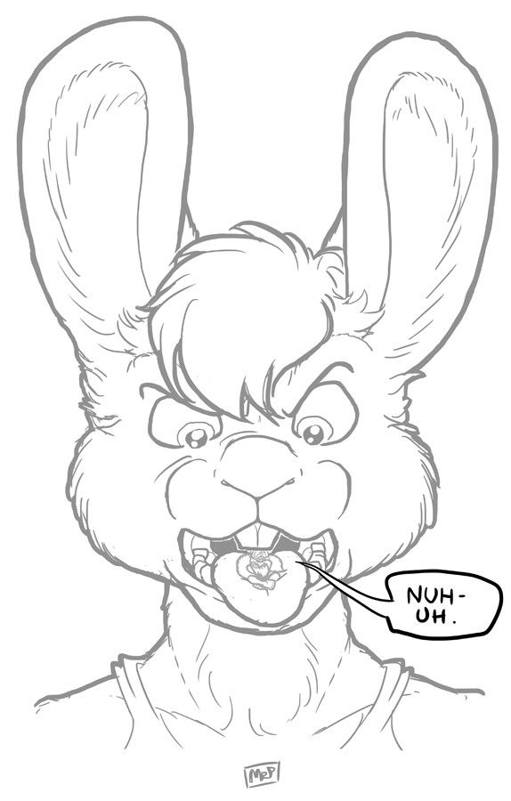 bun eats cat