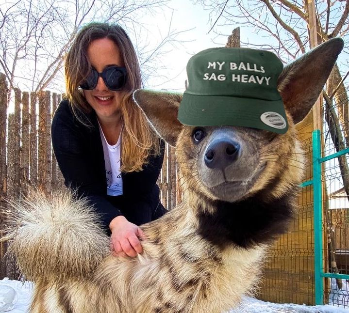 Striped hyena smiling while wearing an edited on hat that reads "MY BALLS SAG HEAVY". Behind the hyena is a woman with shades, gripping the hyena's fur gently