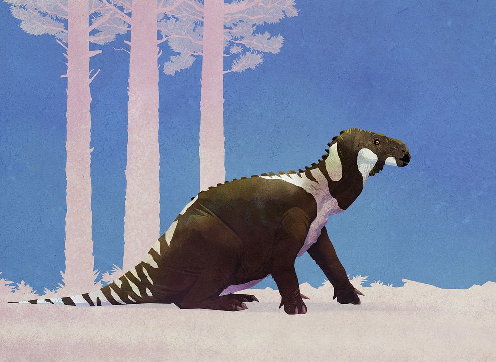 Iguanodon bernissartensis in Belgium during the Early Cretaceous