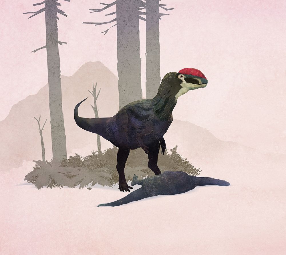 Sinosaurus triassicus, Early Jurassic China