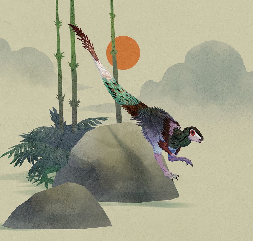 Archaeocursor asiaticus scampering around
in Early Jurassic China.