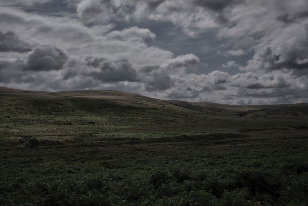 Looking across a Dartmoor valley. Deep greens predominate below a cloud filled sky.