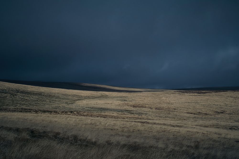 Tall grass, bleached white by winter, sits on a high plateau of north Dartmoor.