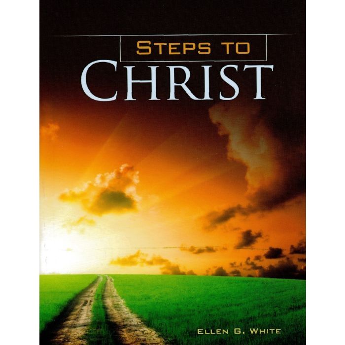 Sunrise as cross a field of green grass with a dirt track running through it