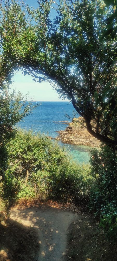 Une crique depuis le haut, la mer très bleue. 