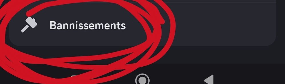 Bannissements sur Discord