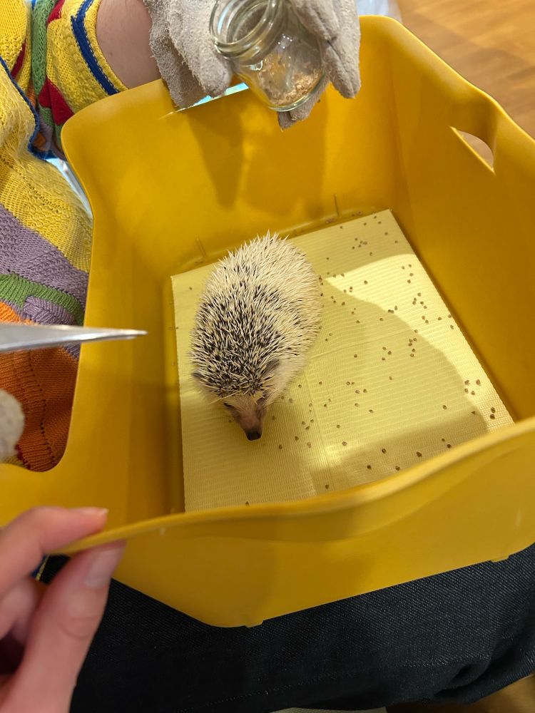 餌をくれるところ