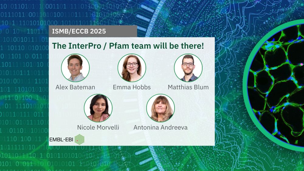 The InterPro/Pfam team members attending ISMB/ECCB 2025: Alex Bateman, Emma Hobbs, Matthias Blum, Nicole Morvelli, Antonina Andreeva
Image credit: BioImage Archive accession S-BSST584. 
Design credit: Karen Arnott/EMBL-EBI