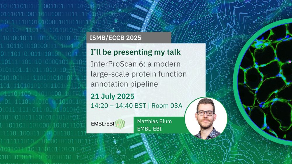 InterProScan 6: a modern large-scale protein function annotation pipeline
Matthias Blum 
21/07/2025 14:20 
Room 03A 
Image credit: BioImage Archive accession S-BSST584. Design credit: Karen Arnott/EMBL-EBI