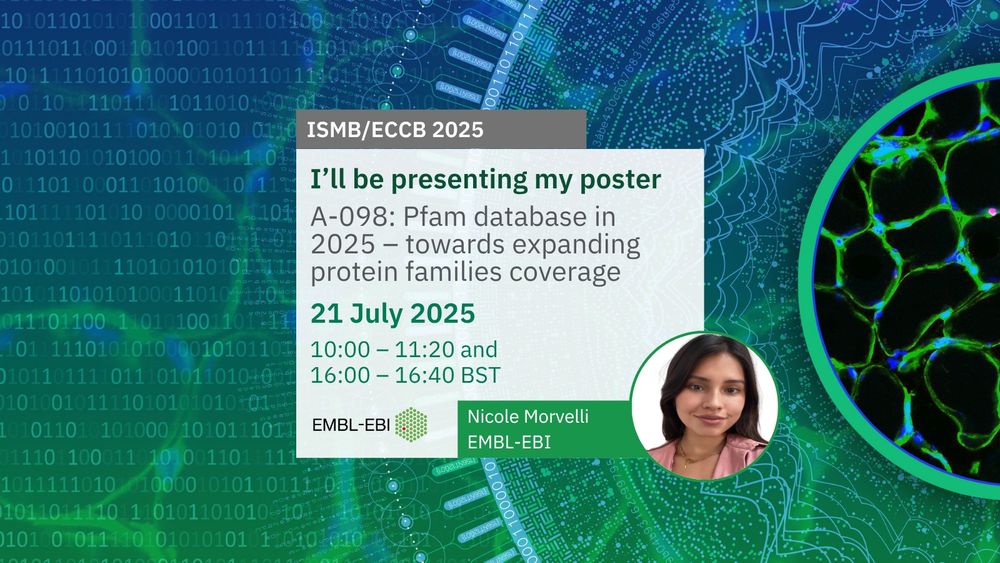 Poster A-098: Pfam database in 2025 – towards expanding protein families coverage
Nicole Morveli Flores
Session A: 21/07/2025
10:00 – 11:20 and
16:00 – 16:40 BST
Image credit: BioImage Archive accession S-BSST584. 
Design credit: Karen Arnott/EMBL-EBI