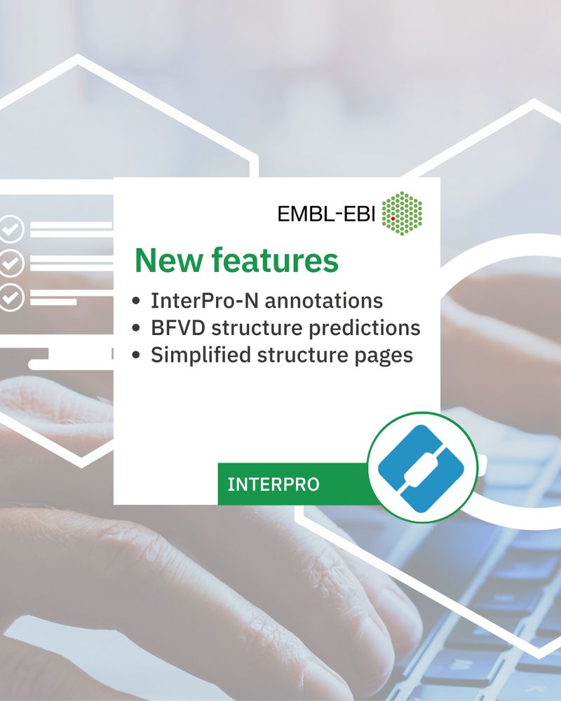 New features 
InterPro-N annotations
BFVD structure predictions
Simplified structure pages