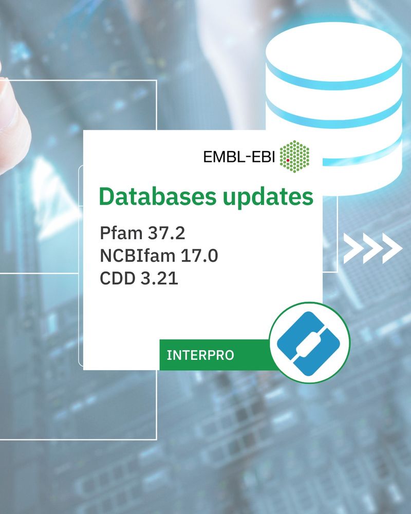 Databases udpates:
Pfam 37.2, NCBIfam 17.0, CDD 3.21