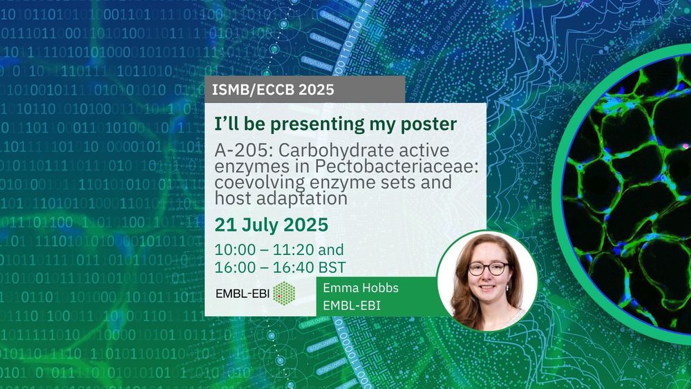 Poster A-205: Carbohydrate active enzymes in Pectobacteriaceae: coevolving enzyme sets and host adaptation
Emma Hobbs
Session A: 21/07/2025
10:00 – 11:20 and
16:00 – 16:40 BST
Image credit: BioImage Archive accession S-BSST584. 
Design credit: Karen Arnott/EMBL-EBI