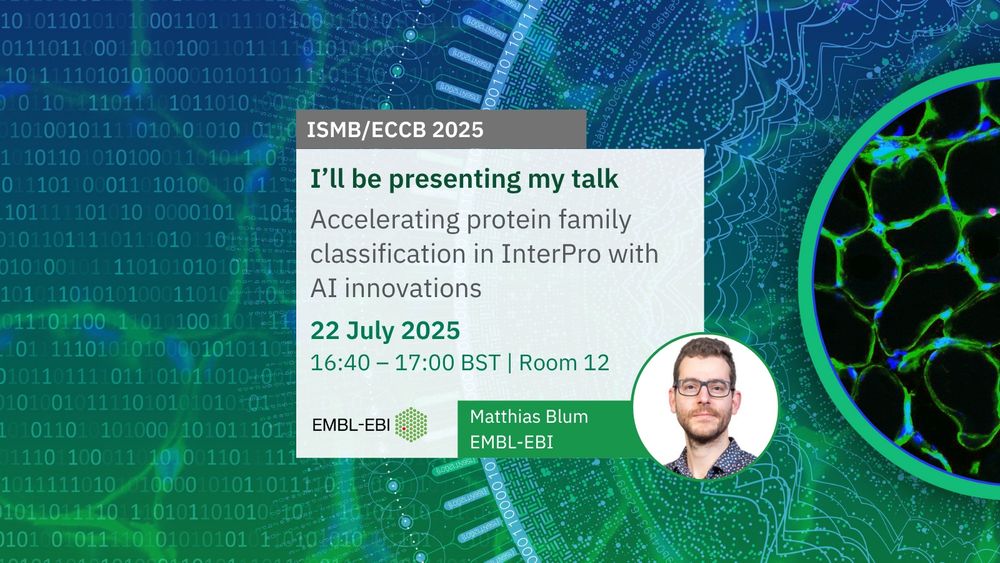 Accelerating protein family classification in InterPro with AI innovations
Matthias Blum 
22/07/2025 16:40
Room 12
Image credit: BioImage Archive accession S-BSST584. 
Design credit: Karen Arnott/EMBL-EBI