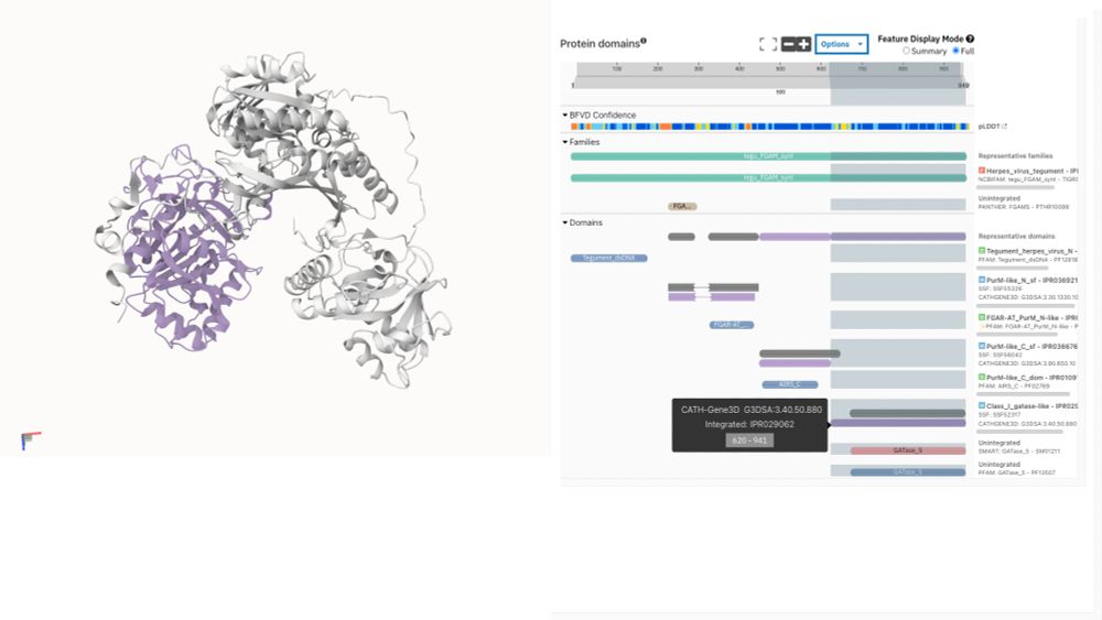 CATH-Gene3D annotation visualised on BFVD structure prediction of UniProt A0A075FDU7