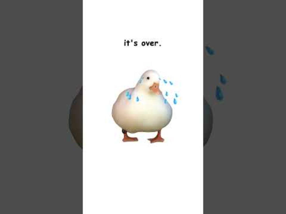 BPD (explained by ducks)