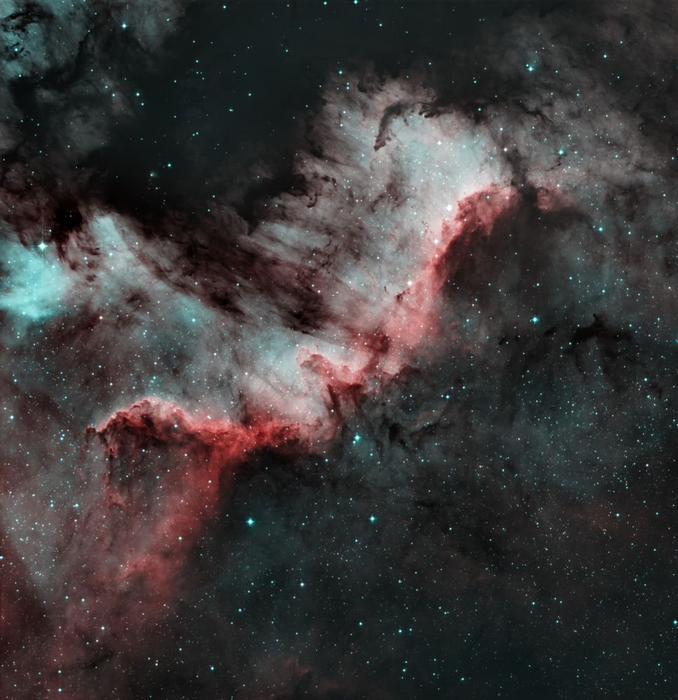 Cygnus wall - 8 hours integration from bortle 4

107x300sec 

Carbonstar 150 with .95x corrector
Asi 533mc pro
Optolong L-eXtreme 
Heq5-pro 
Asiair plus
Asi 120mm mini 
SVBONY sv106 Guide scope 

Processed in pixinsight 
