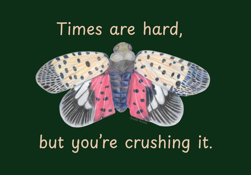 Colorful colored pencil spotted lanternfly on a dark green background with text saying "Times are hard, but you're crushing it."