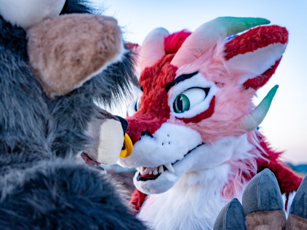 Bull and dragon fursuits with their snouts touching. Their eyes are locked and slightly out of frame are their paws touching, making an almost mirror like pose