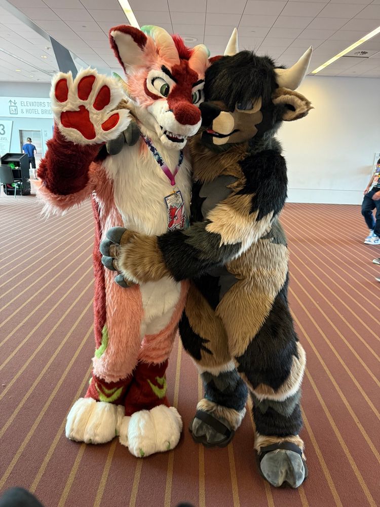 A red and white dragon fursuit waving, being hugged by an earth colored bull fursuit