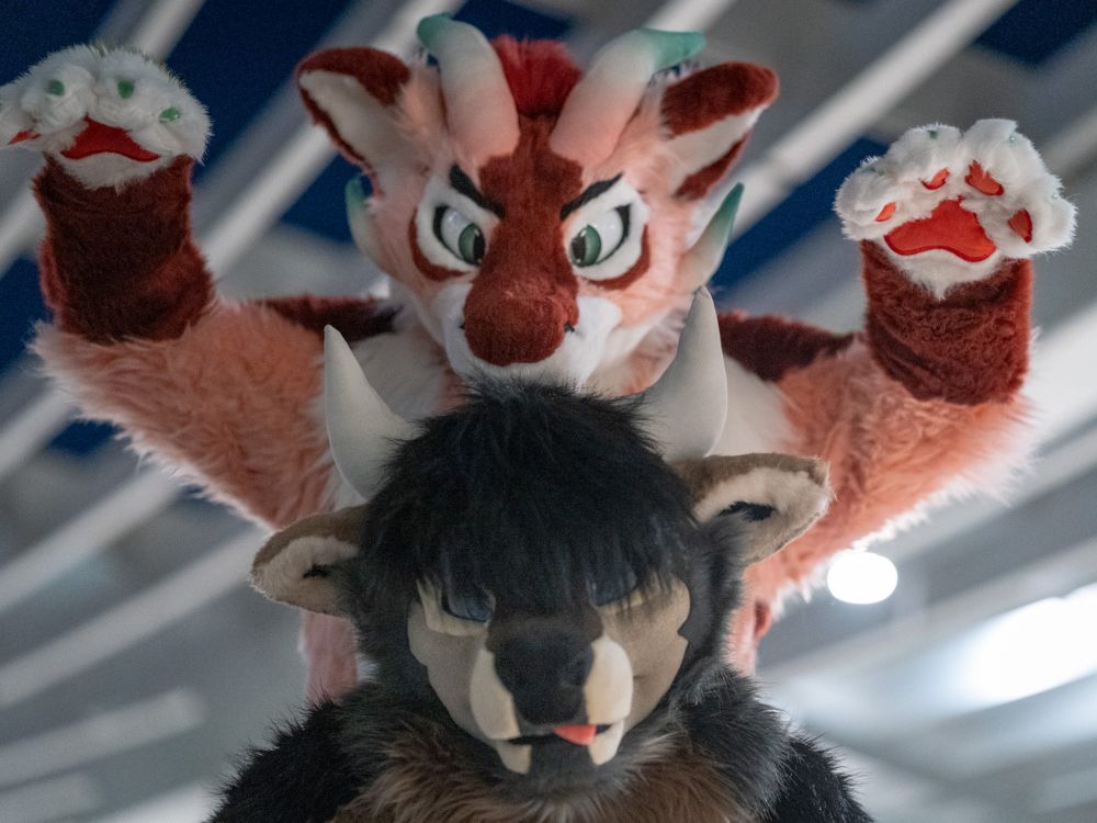 A pink and red dragon with his paws outstretched, trying to look as fierce as possible.

An earth colored bull undermines him, looking haphazard and silly with his tongue stretched out and hair obscuring his sight.
