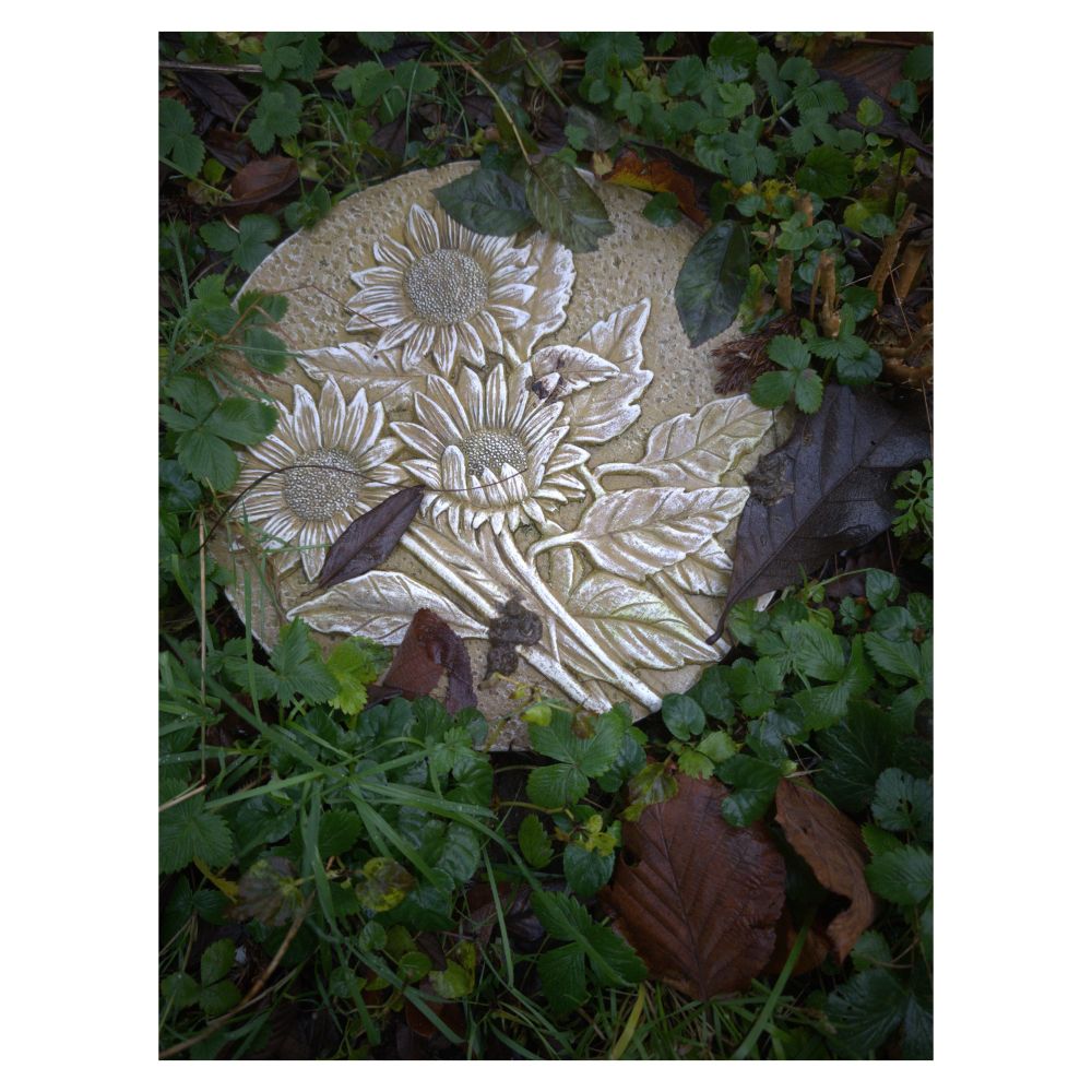 Disgrifiad (Cymraeg) : Carreg gamu yn yr ardd. Mae'r garreg yn gylch gyda delwedd o flodau haul

Description (English)  A stepping stone in the garden. The stone is a circle with an image of sunflowers.

འགྲེལ་བཤད།(བོད་ཡིག) :  གོམ (gom) Step
