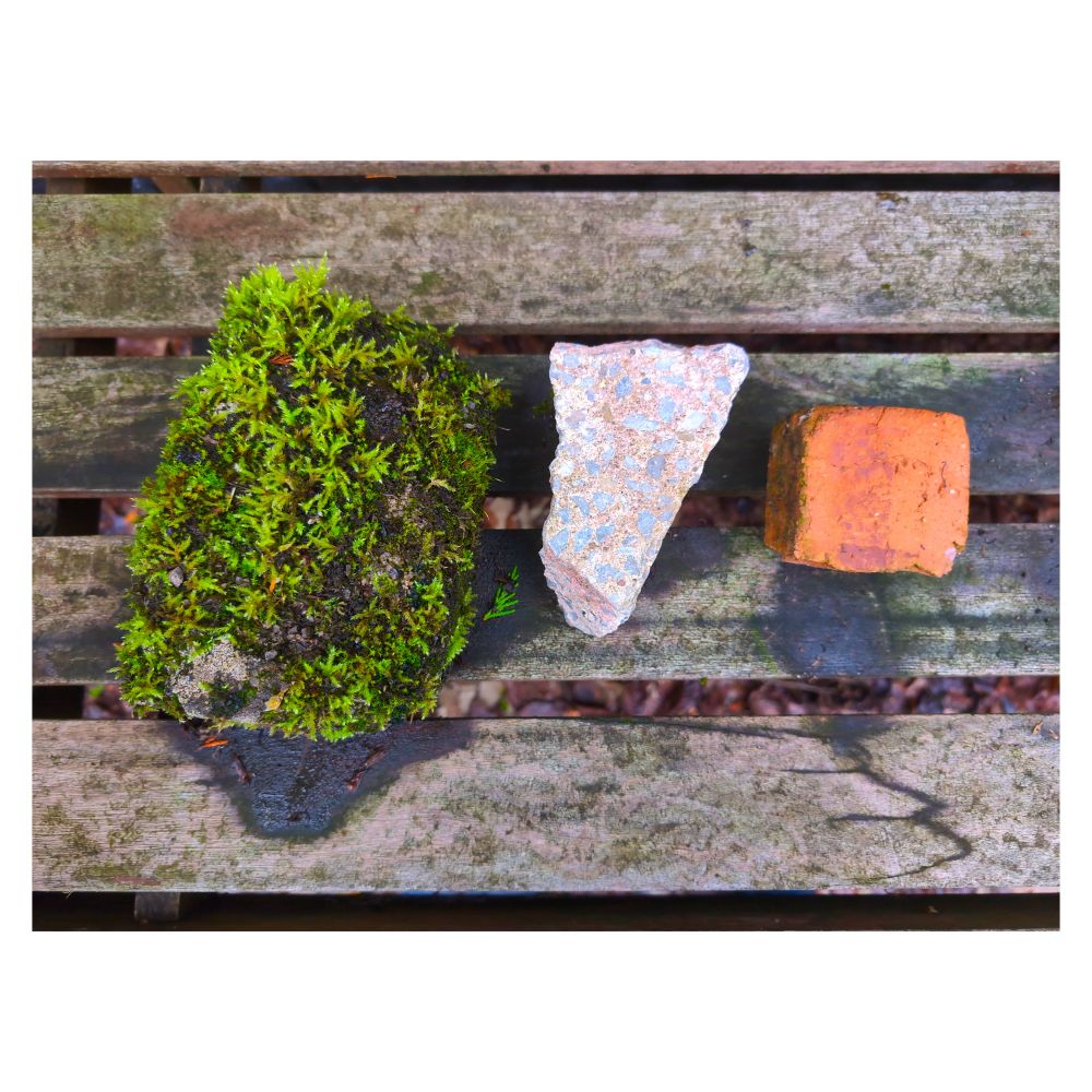 Disgrifiad (Cymraeg) : Cerrig o'r ardd : wedi'i gorchudd gyda mwsogl, darn wedi torri o slab palmant, darn o fricsen.

Description (English) : Stones from the garden : covered with moss, a broken piece of paving slab, a piece of brick.

འགྲེལ་བཤད།(བོད་ཡིག) : རྡོ༌ (rDo) stone
