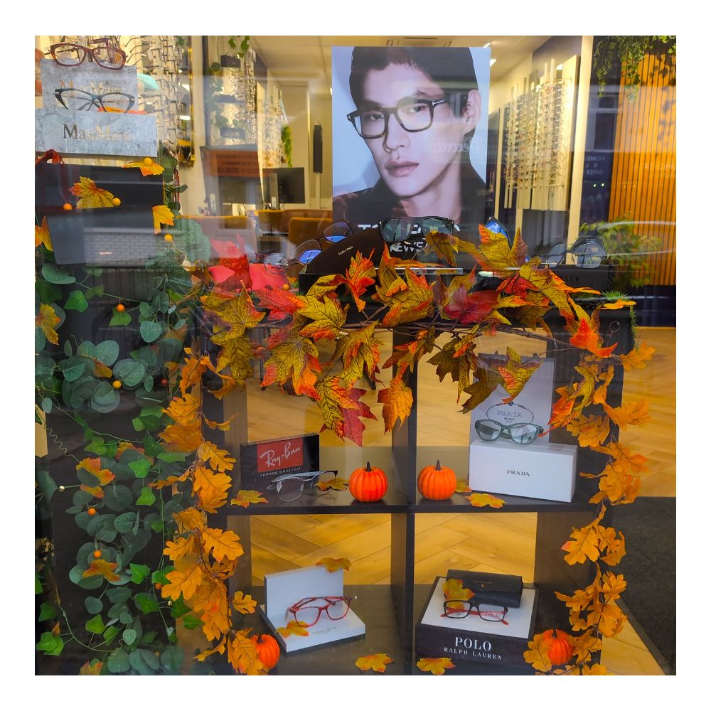 Disgrifiad (Cymraeg) : Arddangosfa hydrefol mewn ffenestr optegydd

Description (English) : An autumnal display in an optician's window

འགྲེལ་བཤད།(བོད་ཡིག) : མཐོང་བ (mThong ba)  to perceive; to see; perception; seeing
