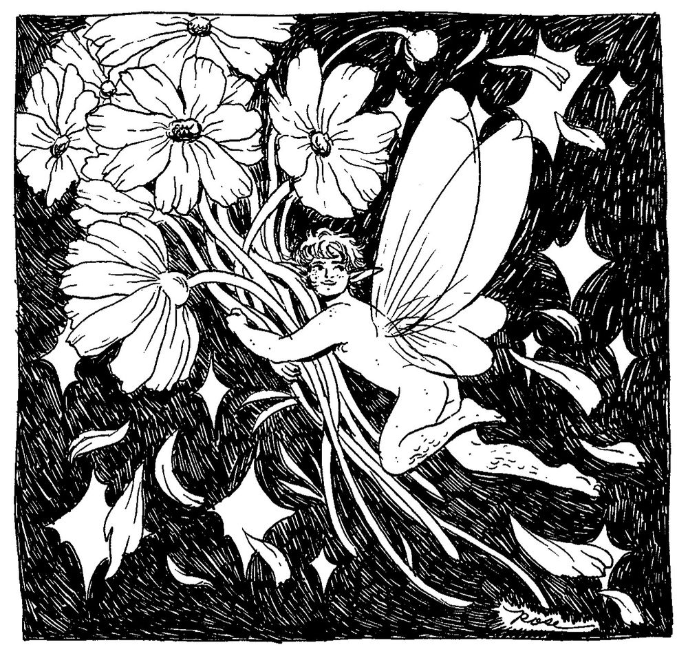 analog ink sketch of a fairy flying with an armful of cosmos flowers