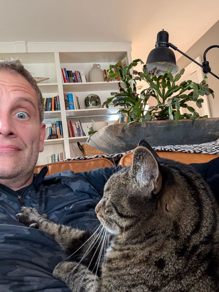 A Tabby cat put her claws in a person chest