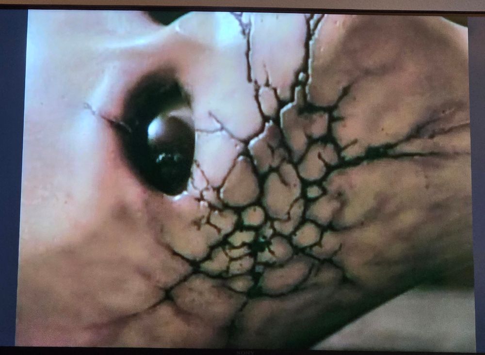 The puppet from the "prison sex" by TOOL  music video looking past the viewer with a cracked face