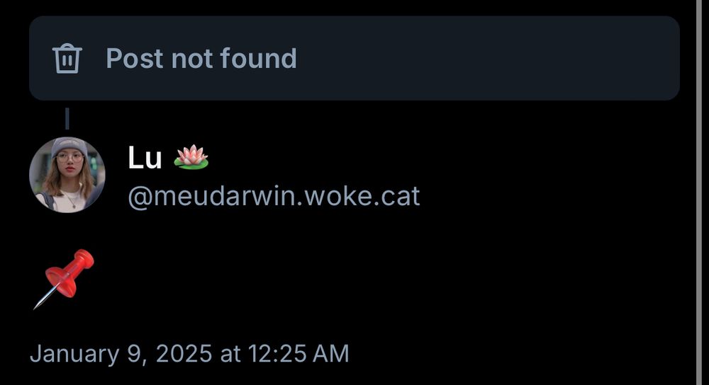 Salvei um post mas deletaram, ficou só um pin com a mensagem “post not found”