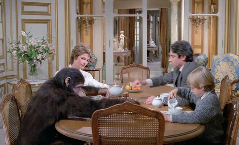 A chimp at the dinner table in MAX MON AMOUR. 