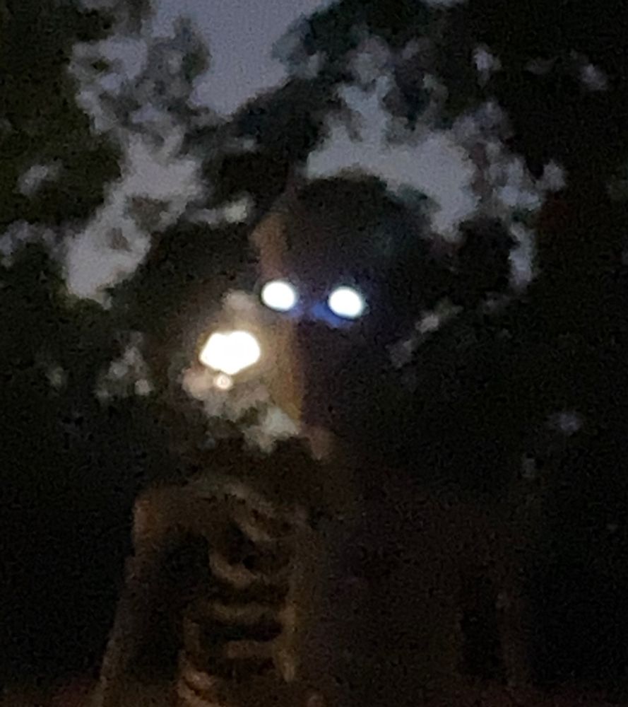 skeleton with glowing eyes and the full moon behind it