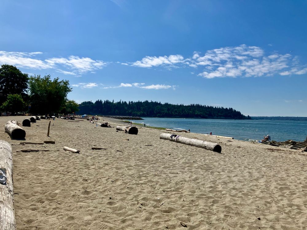 Ambleside Beach before the beach bodies arrive. A long swathe of sand stretching into the distance with the trees of Stanley Park in the background. 