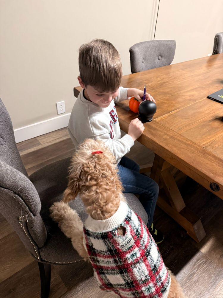 a young boy gets visited by a cute puppy dog in a Christmas sweater