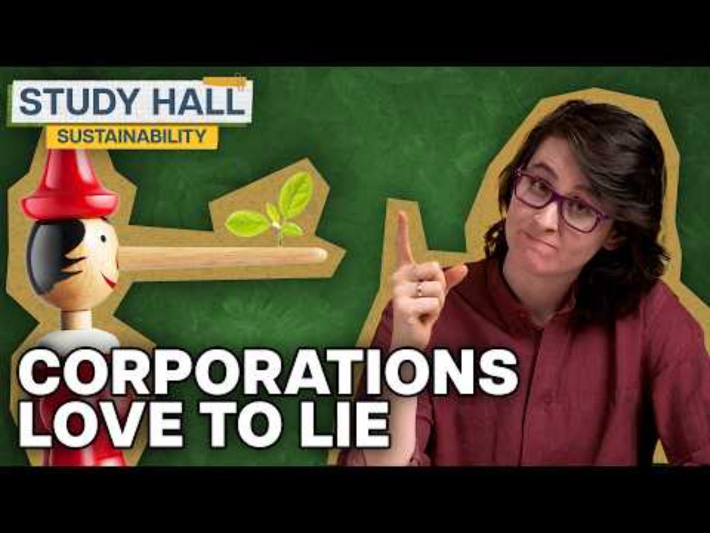 How to Spot Greenwashing | Sustainability 18 of 31 | Study Hall