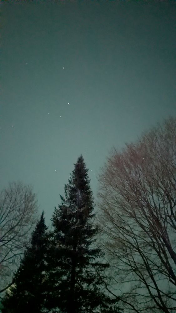 Blue green skies and evergreen trees 