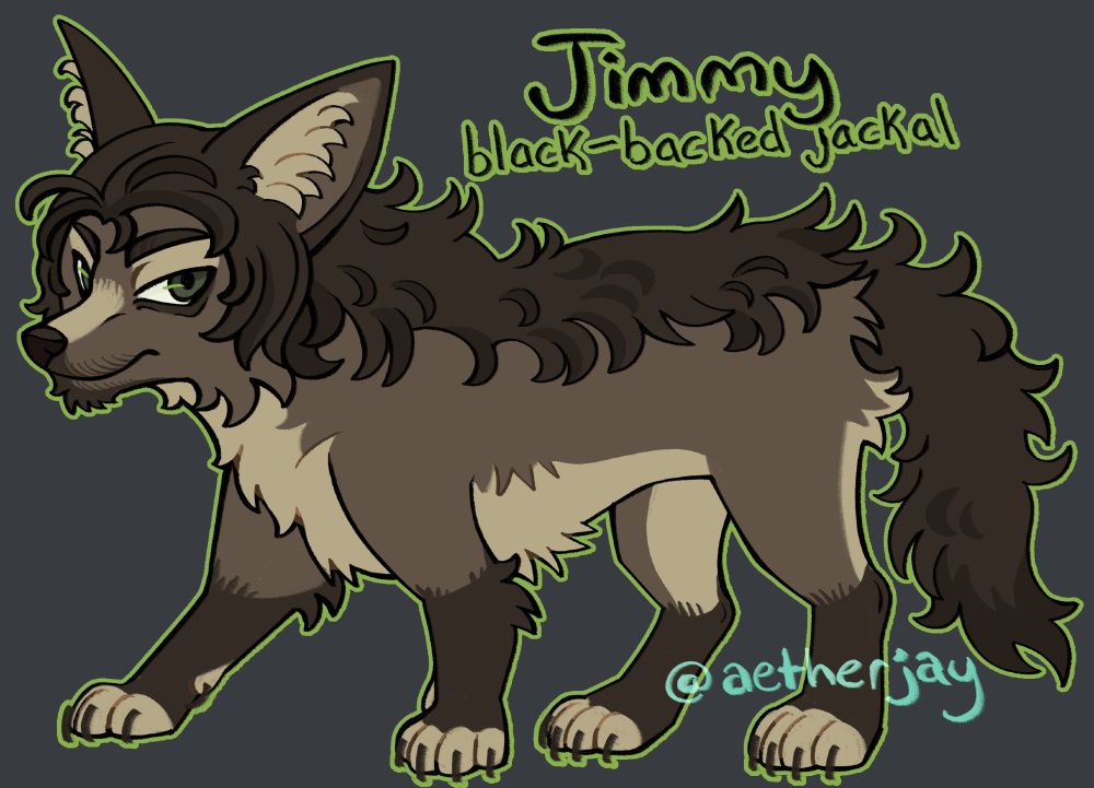 Jimmy as a black-backed jackal. He has grayish brown fur, a light tan underbelly and paws, and green eyes. His tail, chin, and lower legs are darker brown, as well as the hair on his head, which connects to a line of messy fur along his spine and to his tail. He has tan patches on his upper eyelids and nose bridge, and dark brown eyebrows and markings under his eyes.