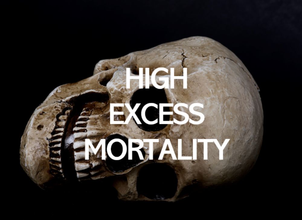 Insurance industry coalition forms non-profit to study baffling excess mortality