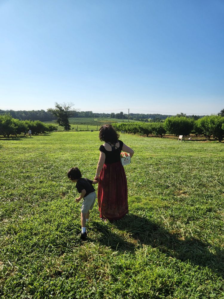 A wide shot of use walking through a green field. We are holding hands, and he is looking down at a big. With my right arm I’m holding a half peck box of peaches. 