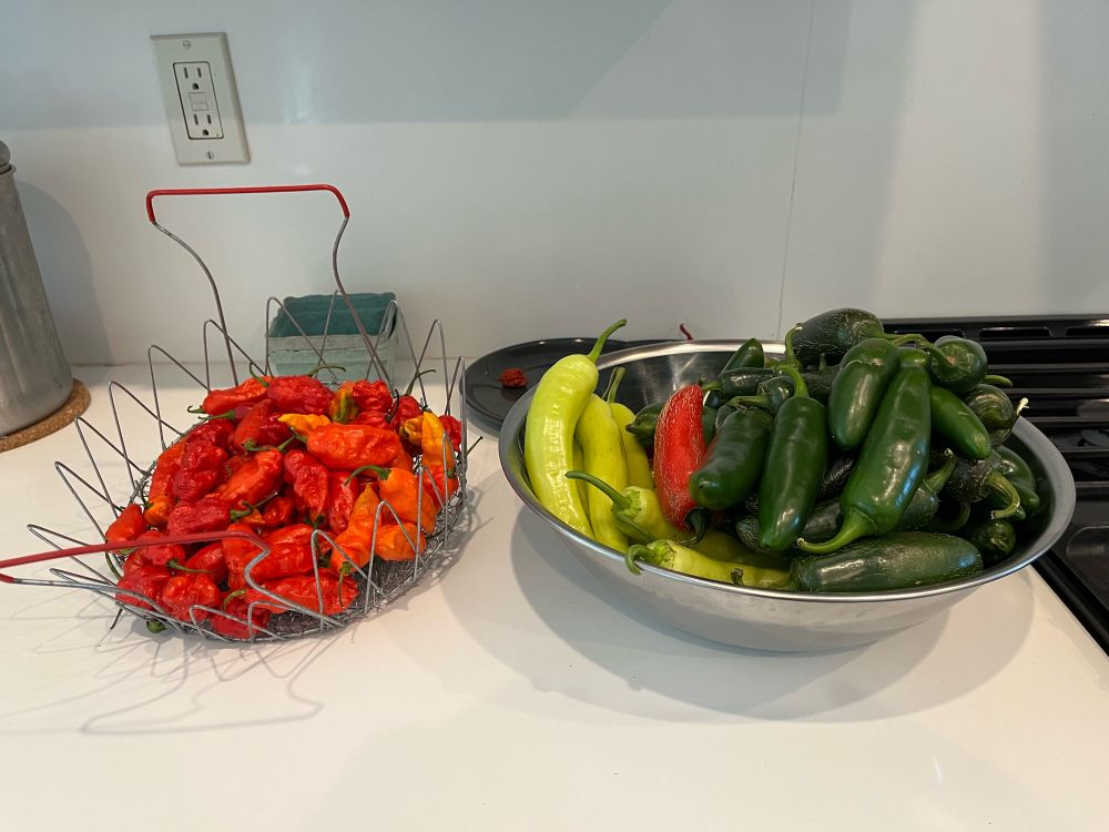 Image of a variety of different peppers. 